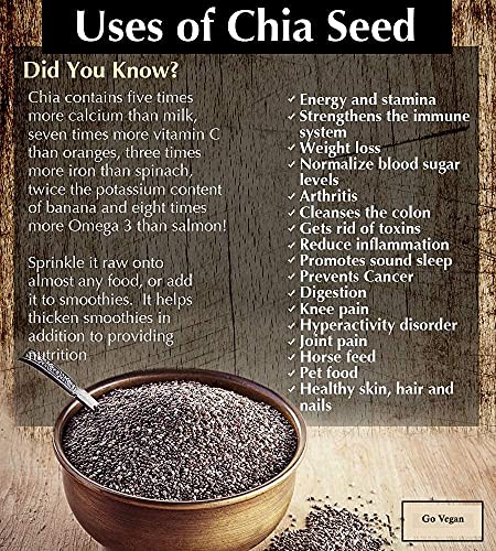 Go Vegan Raw Chia Seeds - 250 Gram Jar Pack | Omega 3 and Fibe Seeds for Weight Management | Rich in Calcium, Protein & Fibre